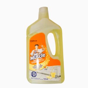 Mr Muscle - Tile Cleaner Citrus (750ML)